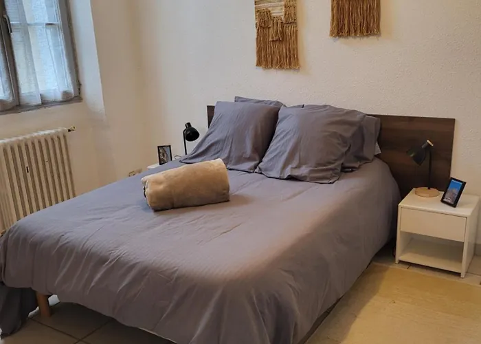 Entre Arenes Et Maison Carree بيت للعطل